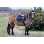 Total Contact Saddle Seat Pad